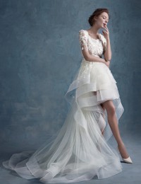Fashionable Scoop Short Sleeve Appliques Romantic Short Front Back Long See Through Lace Wedding Dress 2015 Robe De Mariage MK-9